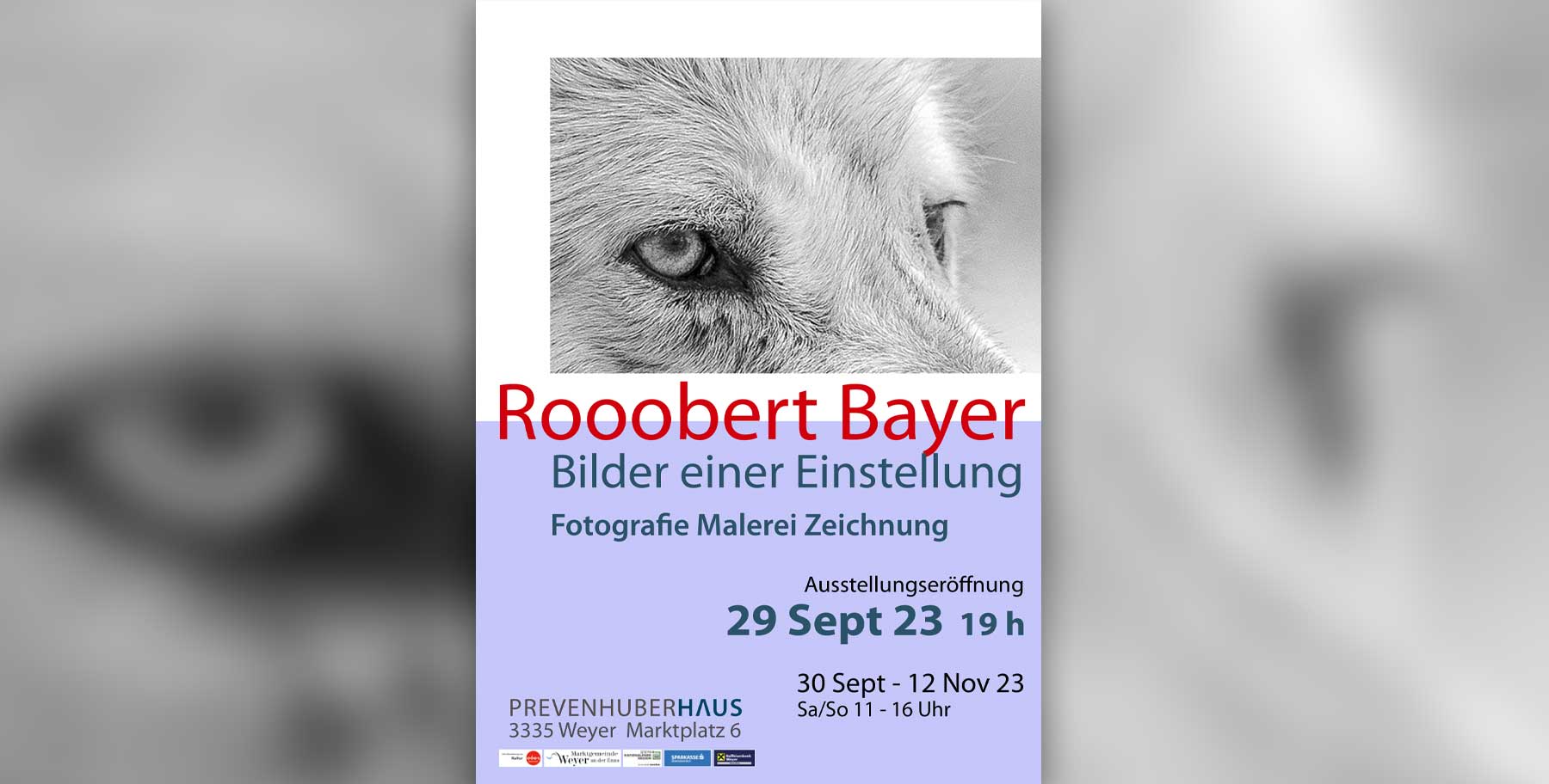 Ausstellung | Rooobert Bayer, Bilder einer Einstellung