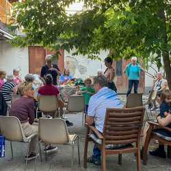 260724_Spinnen_01