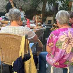 260724_Spinnen_02