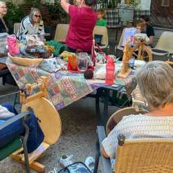 260724_Spinnen_05
