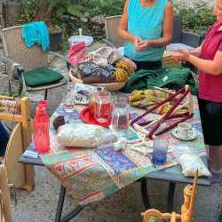 260724_Spinnen_06
