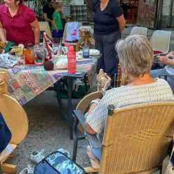260724_Spinnen_09
