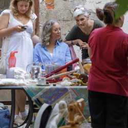 260724_Spinnen_13