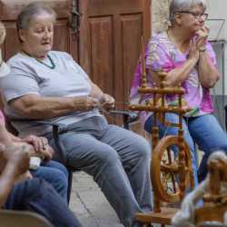 260724_Spinnen_15